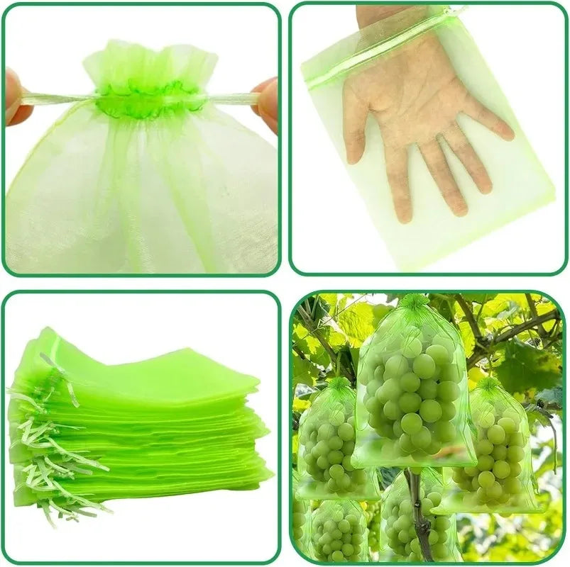 Bolsas de Protección para Frutas y Plantas – Malla Antipájaros.