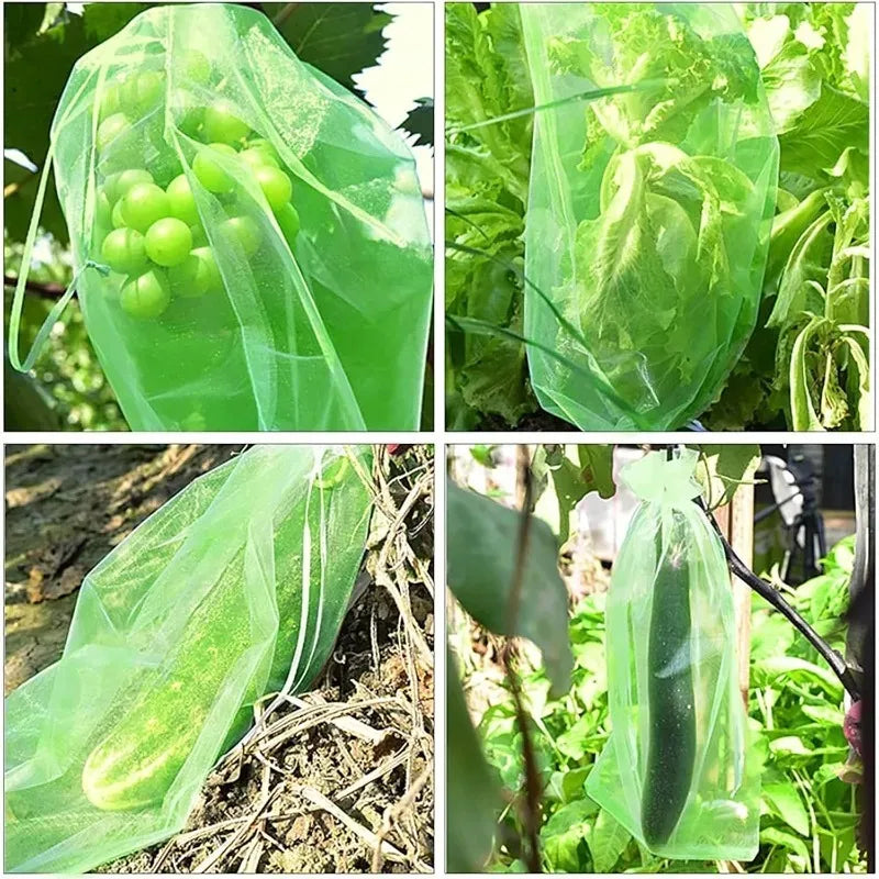 Bolsas de Protección para Frutas y Plantas – Malla Antipájaros.
