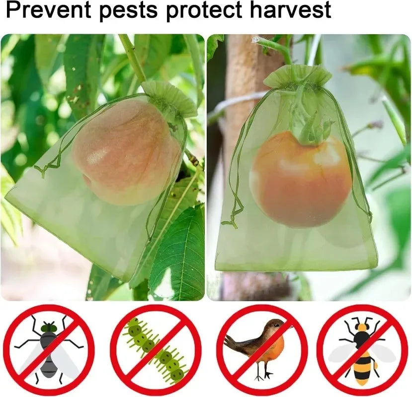 Bolsas de Protección para Frutas y Plantas – Malla Antipájaros.