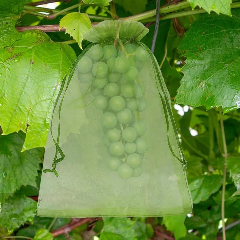 Bolsas de Protección para Frutas y Plantas – Malla Antipájaros.