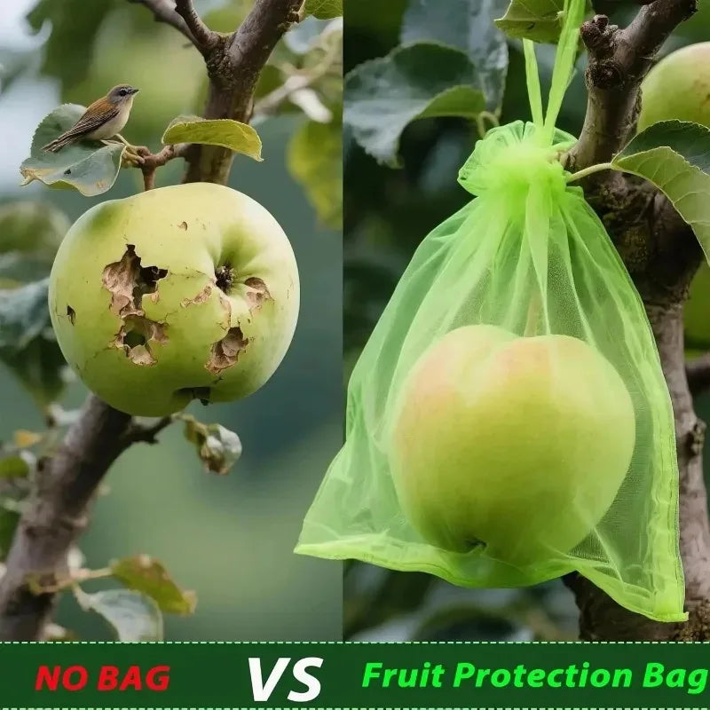 Bolsas de Protección para Frutas y Plantas – Malla Antipájaros.
